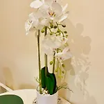 شقة فندقية - Au Vieux Palais 3*