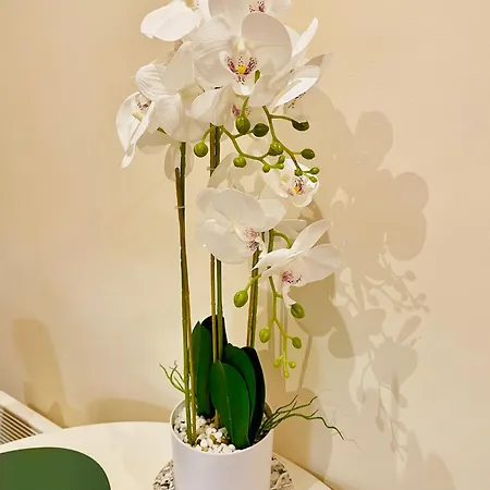 Апарт-отель - Au Vieux Palais 3*