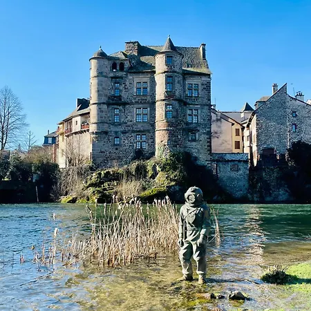 Апарт-отель - Au Vieux Palais Эспальон